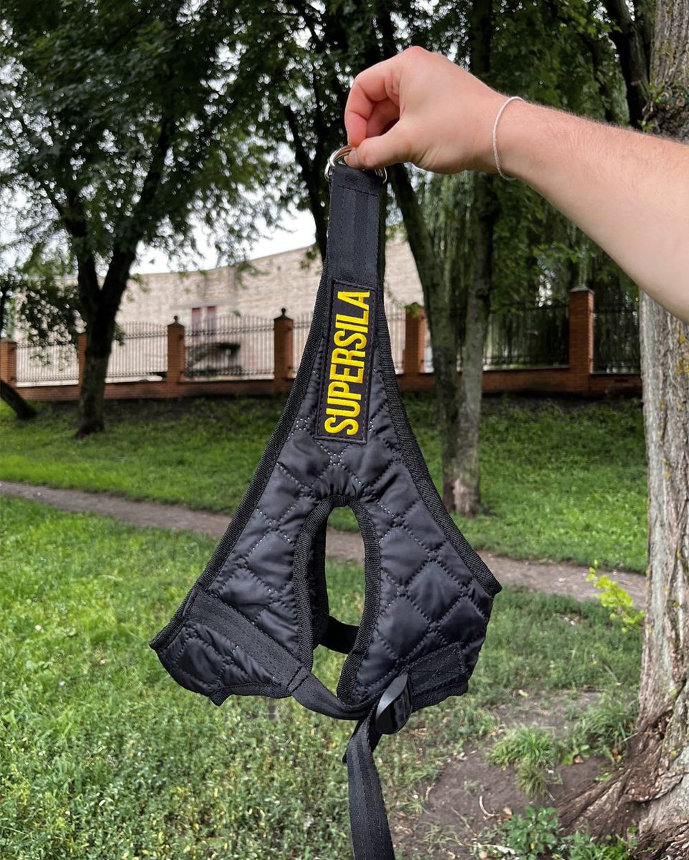 Петля Гліссона Стандарт - Зображення 3